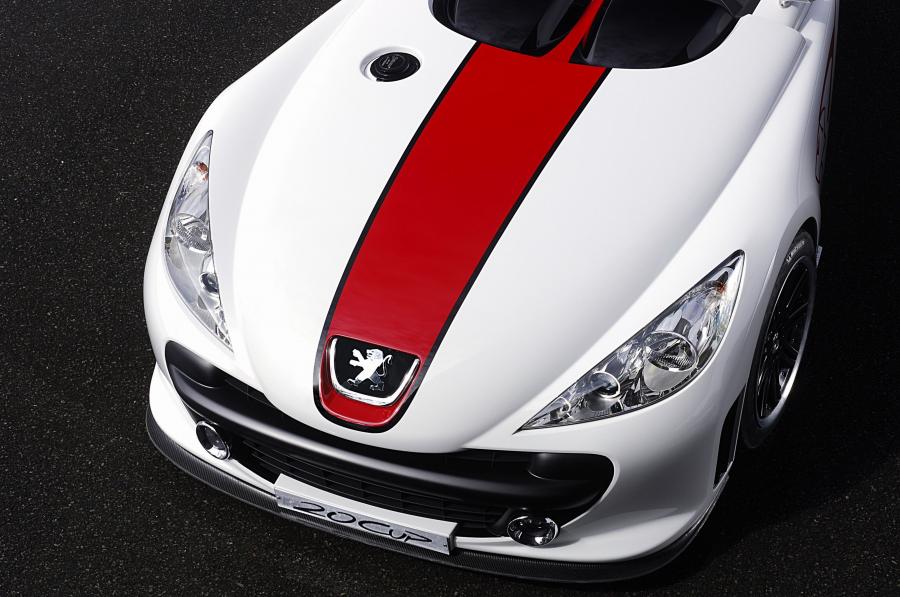  Peugeot 20Cup 2005 года  (фото 17 из 60)